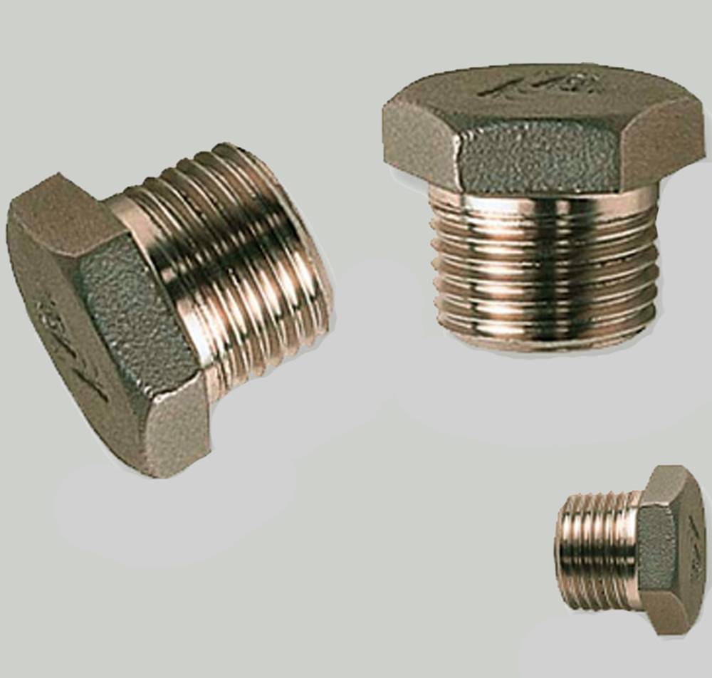 Stainless Steel 304 / 304L Forged Plug